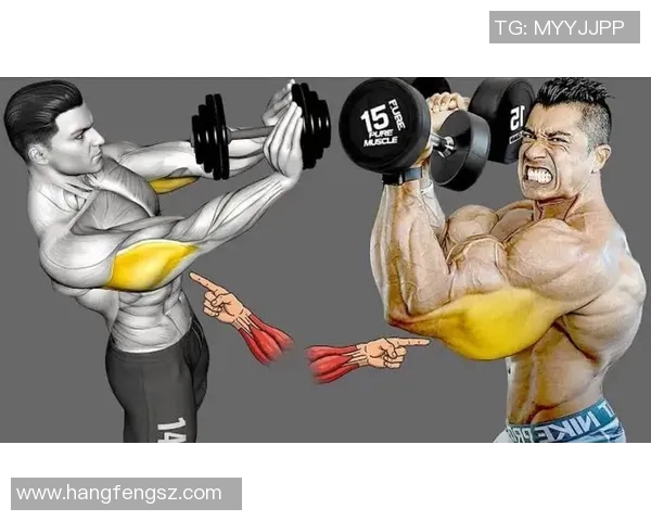 哑铃锻炼三头肌的最佳动作推荐与详细解析技巧